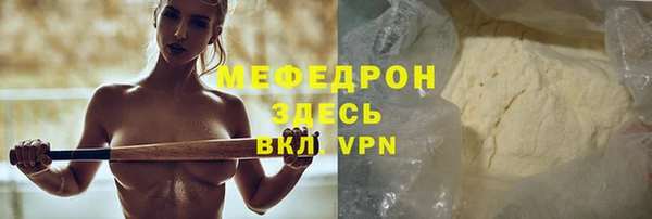 индика Елабуга