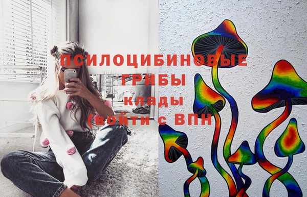 ECSTASY Каменногорск