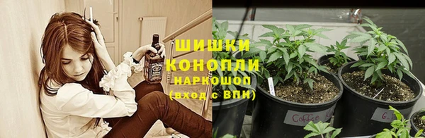 mdpv Иннополис