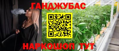 прущие крисы Бийск