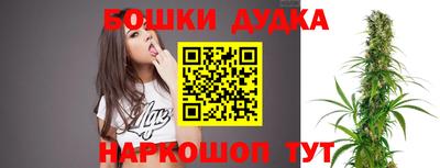 прущие крисы Бийск