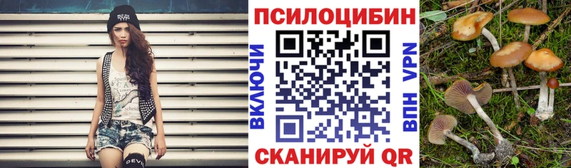 цены   Корсаков  darknet как зайти  Псилоцибиновые грибы GOLDEN TEACHER 