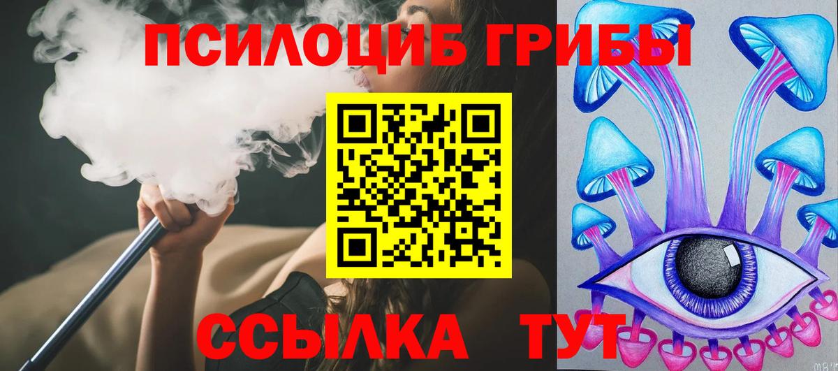 Галлюциногенные грибы Psilocybe Корсаков