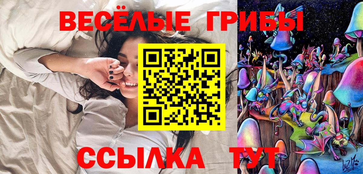 Корсаков  Галлюциногенные грибы мухоморы  Вход с VPN 